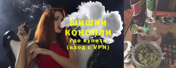 крисы Баксан