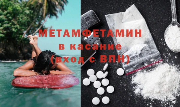 крисы Баксан