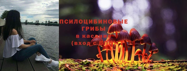крисы Баксан