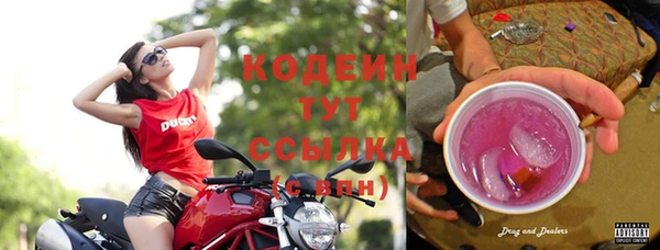 крисы Баксан